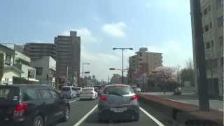 preview picture of video '宇都宮駅前大通り車載動画　Utsunomiya station square main street'
