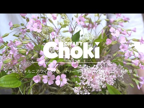 セアノサスの肥料は何ですか