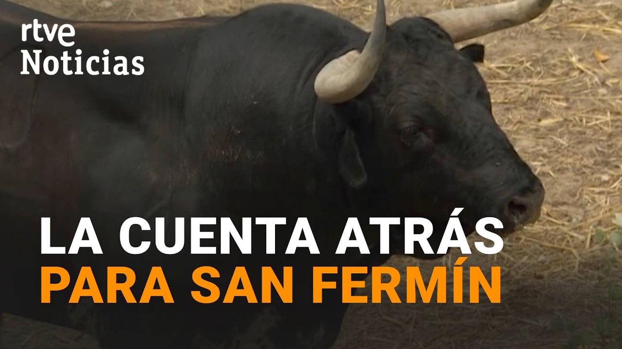 Los TOROS de SAN FERMÍN ya descansan en los CORRALES DEL GAS de Pamplona | RTVE Noticias