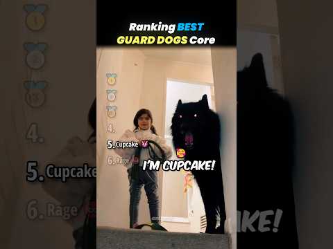 Ranking BEST GUARD DOGS Core Moments!! 🐶🛡️