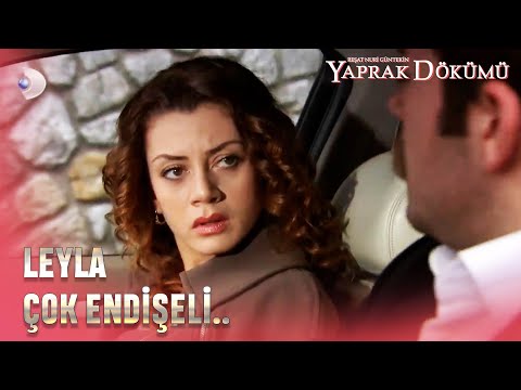 Leyla Neden Endişeli? - Yaprak Dökümü 144. Bölüm