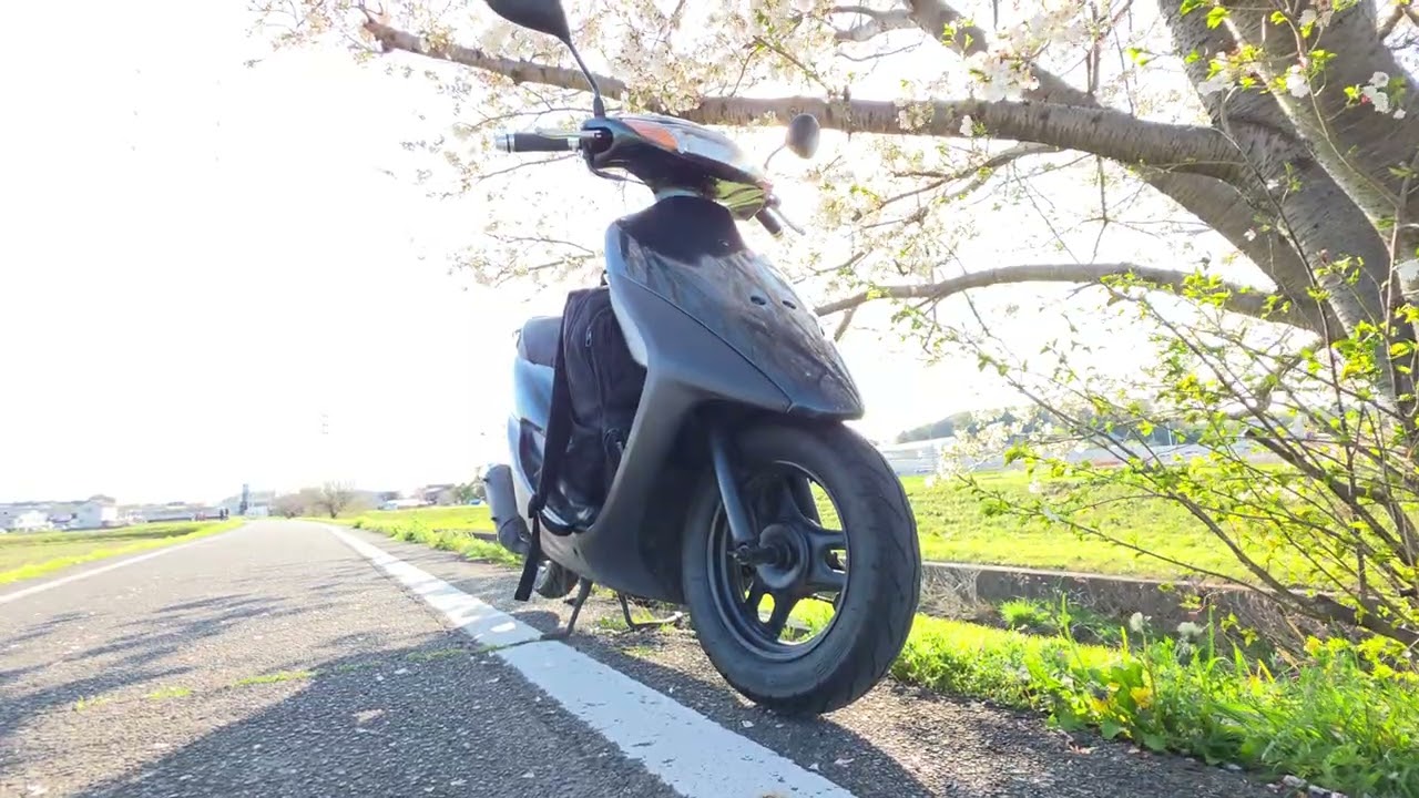 Last standing CHERRY BLOSSOM 🌸