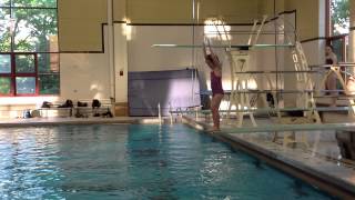 Teach a Flip for Springboard Diving
