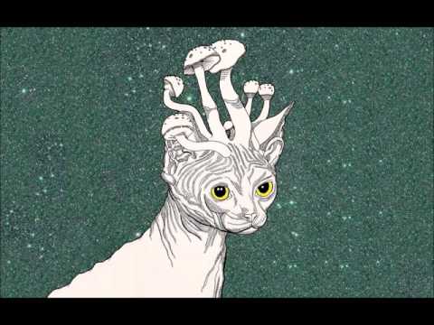 TrippyThaKid - Feels (Prod. ℒund )