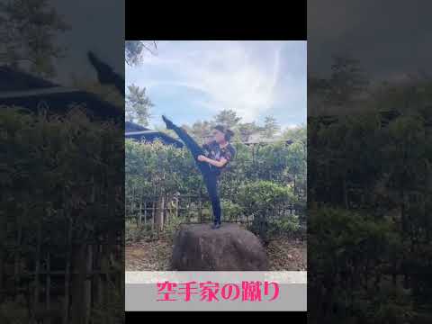 何が違う？　空手家の蹴りと、一般人の蹴り。　#空手 #shorts #karate