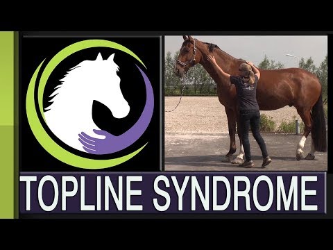 Recognizing Topline Syndrome