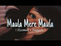 MAULA MERE MAULA Anwar Slowed Reverb Slowedandreverb