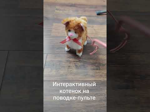 фото интерактивный котенок на поводке-пульте 0