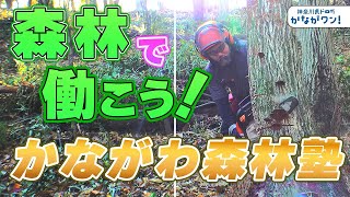 かながわの森で働こう！かながわ森林塾～かながワン#14～