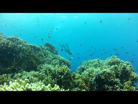 GOPR0277 Cap ben pointe ti poisson