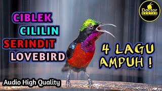 Download lagu KONIN GACOR FULL ISIAN CIBLEK, CILILIN, SERINDIT, LOVEBIRD COCOK BUAT KOLIBRI BELAJAR NEMBAK mp3