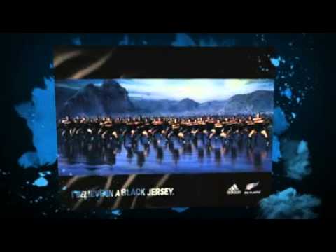 Rugby World Cup Odds