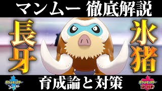 ポケモン剣盾 ボルトロス 化身フォルム の育成論と対策 入手方法まとめ 性格や技構成を元プロゲーマーが徹底解説 ポケモンソードシールド موقع ويب حيث يمكنك مشاهدة مقاطع الفيديو الموسيقية مجان ا
