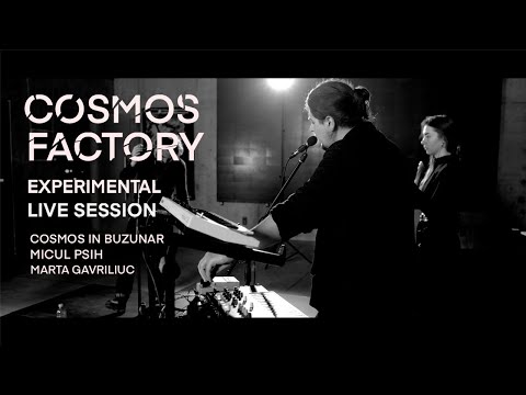 /// Cosmos Factory #1 /// COSMOS in BUZUNAR feat Mic-ul Psih  - Dream Catcher