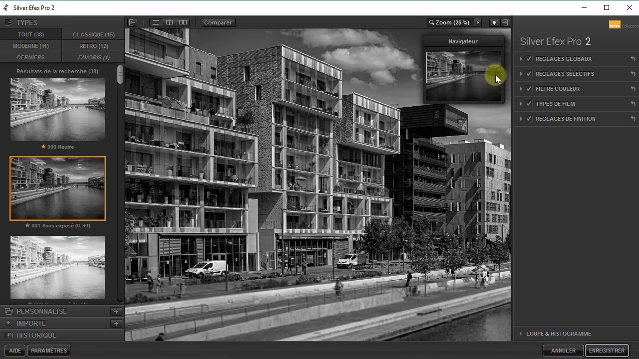 Nik Collection :  Silver Efex Pro 2  - Partie 1