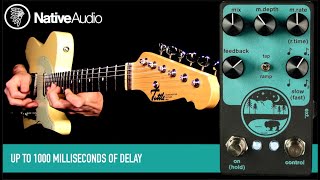 Video thumbnail for NativeAudio Wilderness V1.5 Delay by Mike Hermans