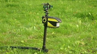 NEW! - Scarecrow Motion Activated Sprinkler Test & Review: BEST Animal Deterrent?