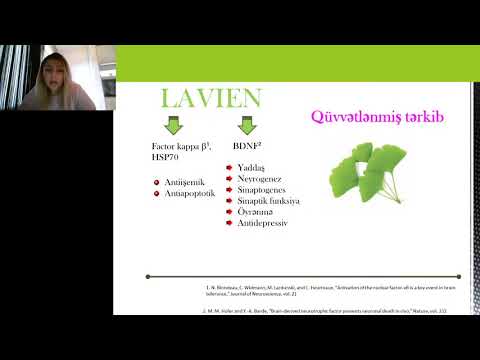 LAVIEN -Yaddaşdan daha çox