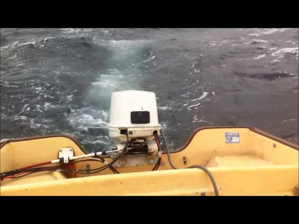 Rana 17 fish, windy day