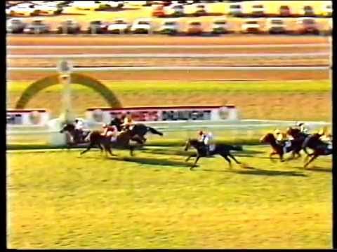 Warwick Stakes 1988 - Flotilla, Never Quit, Wong