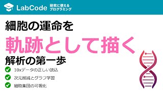 【ダイナミクス解析#4】【Monocle3】Trajectory解析の始め方：Cell Rangerデータの読み込みと前処理【シングルセル解析】