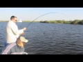 Zambezi River Fly Fishing 