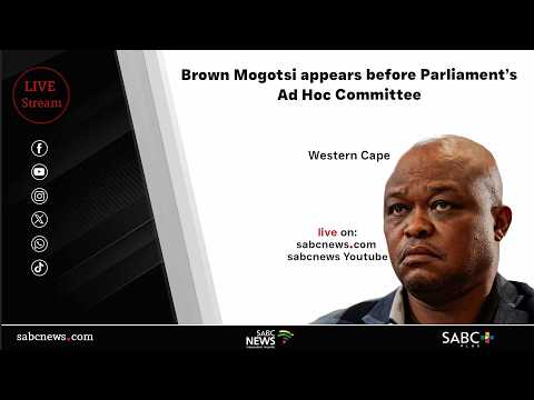 Brown Mogotsi appears before Parliament’s Ad Hoc Committee | 24 February 2026