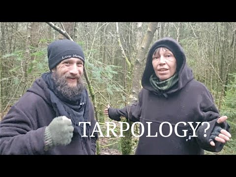 The BEST tarp setup for YOU! - UK 🇬🇧 Nomad style