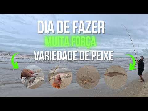 A PRAIA NÃO PERDOOU!! Pescaria pesada em São Jose do Norte RS #pescadepraia #pescaria