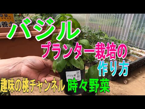 鉢植えのバジルも常備しております