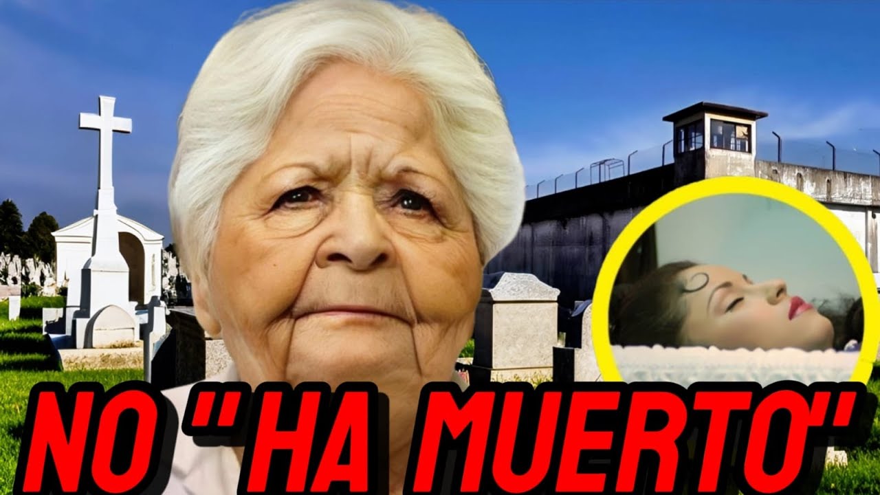 YouTube Thumbnail Downloader FULL HQ IMAGE