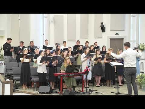 D0285 Pe marea vietii vaslesc zi de zi