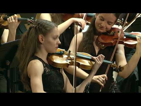 Tchaikovsky - Serenade for Strings - III-Elegie & IV-Finale | Chuhei Iwasaki