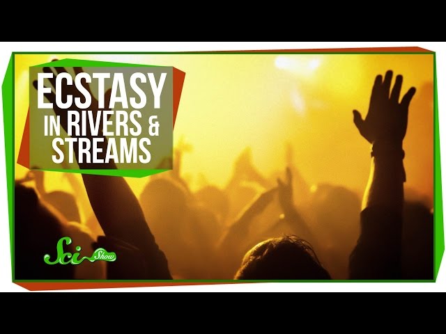 Výslovnost videa William smith v Anglický