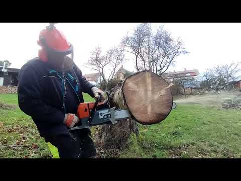 Holzforma G660 - legendary clone of the Stihl MS660 in action