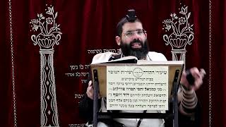 זבחים דף ס"א ע"ב ¤ הרב נתנאל אברז'ל ¤ בית הכנסת "בית מרדכי" (מוסדות תורת דוד) - התמונה מוצגת ישירות מתוך אתר האינטרנט יוטיוב. זכויות היוצרים בתמונה שייכות ליוצרה. קישור קרדיט למקור התוכן נמצא בתוך דף הסרטון