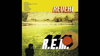 R.E.M. Unmixed Remix - Beachball  (Front Tracks of the 5.1 Version)