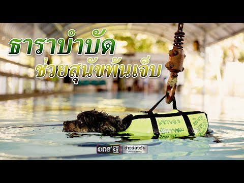 Japan Jav Porn #248287 (4fixn6TWc7U) Thumbnail