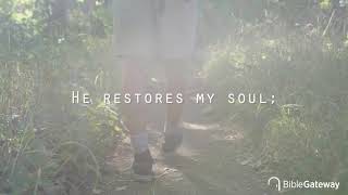 Bible Verse: Psalm 23:1-3