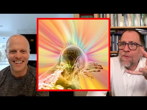 What they don't tell you about Intuition and Logic | Tim Ferriss and John Vervaeke