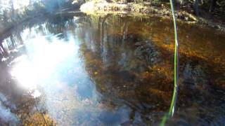 preview picture of video 'Fall Salmon Fishing In Maine.'