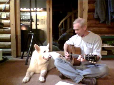 Orbit the Singing Dog