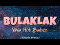 Viva Hot Babes BULAKLAK Karaoke Version