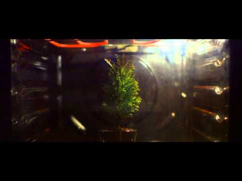 'Il Tempo è Scaduto'