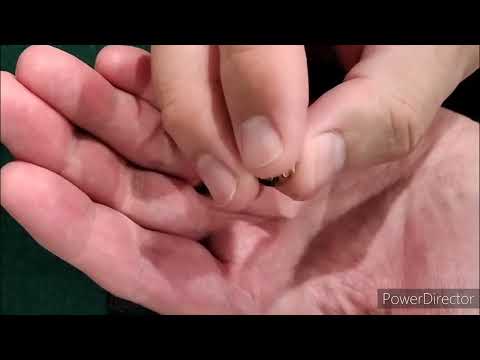 380 Fiocchi Defense Dynamics ammo test