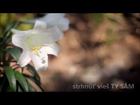 PANE PRIJMI MA | THE POWER OF YOUR LOVE