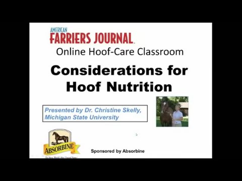Equine Nutrition and Hoof Health