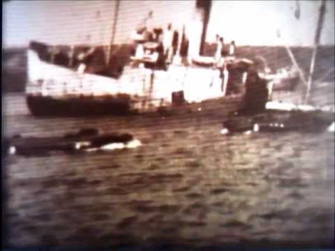 134th Infantry Regiment in WWII - Part 2