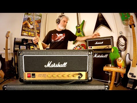 Marshall JCM800 Studio Classic 20H - First Impressions