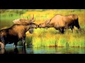 Don't count the rainy days.wmv(360p_H.264-AAC).mp4